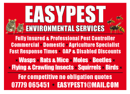 Easypest Environmental Services serving Aberdare - Pest Control