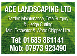 Ace Landscaping Ltd serving Aberdare - Tree Surgeons
