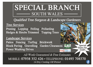 Special Branch serving Abergavenny - Tree Surgeons