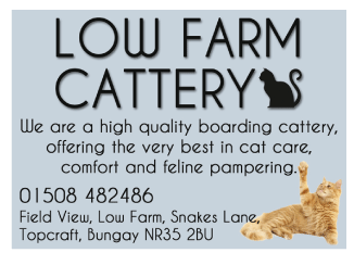 Low Farm Cattery serving Beccles and Bungay - Catteries
