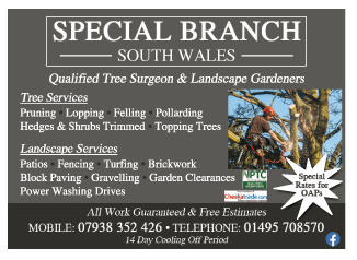 Special Branch serving Blackwood - Landscape Gardeners