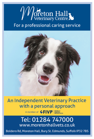 Moreton Hall Veterinary Centre serving Bury St Edmunds - Veterinary Surgeons