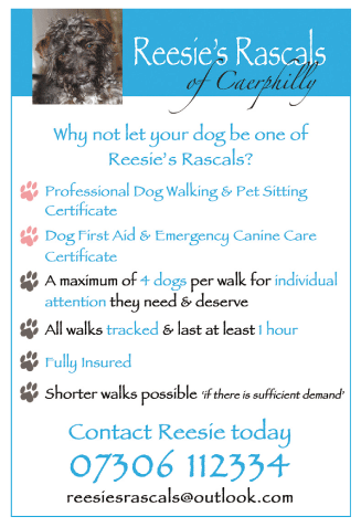 Reesie’s Rascals Of Caerphilly serving Caerphilly - Pet Sitting Service