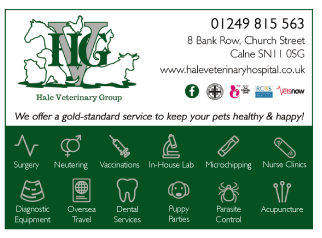 The Hale Veterinary Group serving Calne and Devizes - Veterinary Surgeons
