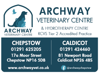 Archway Veterinary Centre serving Chepstow and Caldicot - Veterinary Surgeons
