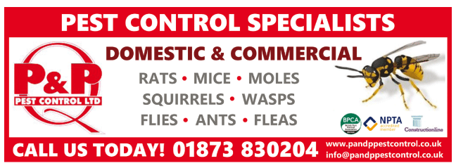 P. & P. Pest Control Ltd. serving Chepstow and Caldicot - Pest Control
