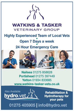 Watkins & Tasker Veterinary Group serving Clevedon and Portishead - Veterinary Surgeons
