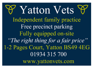 Yatton Vets serving Clevedon and Portishead - Veterinary Surgeons