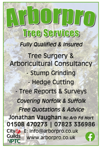 Arborpro Tree Services serving Diss - Tree Services