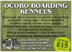 Ocobo Boarding Kennels serving Downham Market - Boarding Kennels & Catteries
