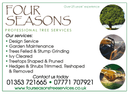 Four Seasons Tree Services serving Downham Market - Tree Surgeons
