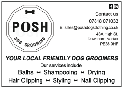 Posh Dog Grooming serving Downham Market - Dog Grooming