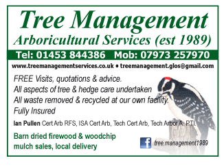 Tree Management serving Dursley and Wotton U Edge - Firewood