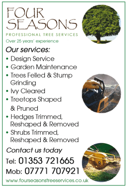 Four Seasons Tree Services serving Ely - Tree Surgeons