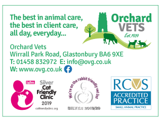 Orchard Veterinary Group serving Glastonbury - Veterinary Surgeries