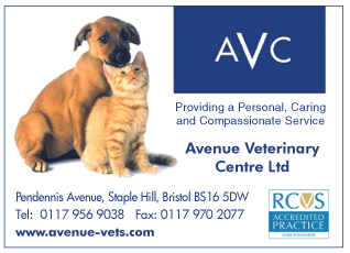 Avenue Veterinary Centre serving Kingswood - Veterinary Surgeries