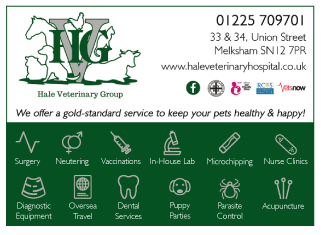 The Hale Veterinary Group serving Melksham - Veterinary Surgeons