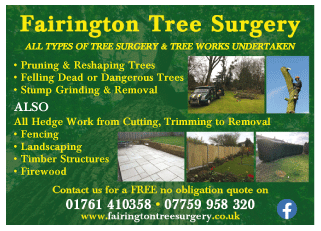 Fairington Tree Surgery serving Midsomer Norton - Fencing Services