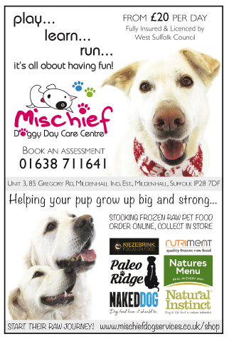 Mischief Doggy Day Care Centre serving Mildenhall - Pet Services