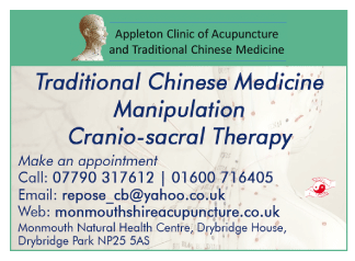 Appleton Clinic of Traditional Chinese Medicine serving Monmouth and Raglan - Acupuncture