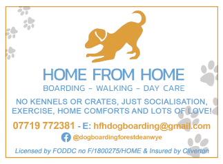 Home From Home serving Monmouth and Raglan - Pet Services