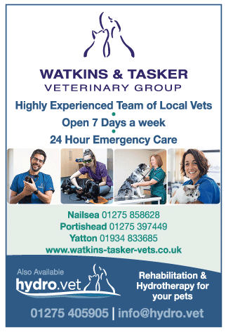 Watkins & Tasker Veterinary Group serving Nailsea and Yatton - Veterinary Surgeons