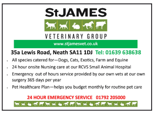 St. James Veterinary Group serving Neath - Veterinary Surgeons