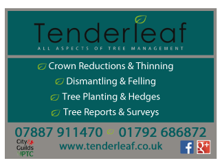 Tenderleaf Tree Services serving Neath - Tree Surgeons