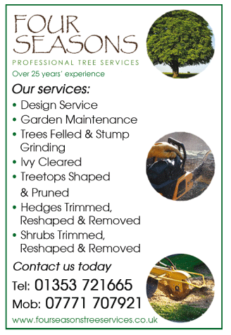 Four Seasons Tree Services serving Newmarket - Tree Surgeons