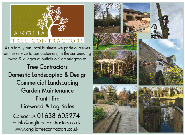 Anglia Tree Contractors & Landscaping serving Newmarket - Garden Design