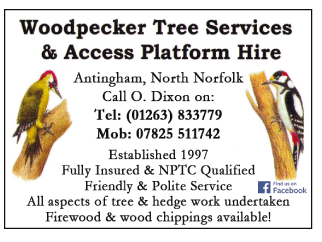 Woodpecker Tree Services serving North Walsham - Tree Services
