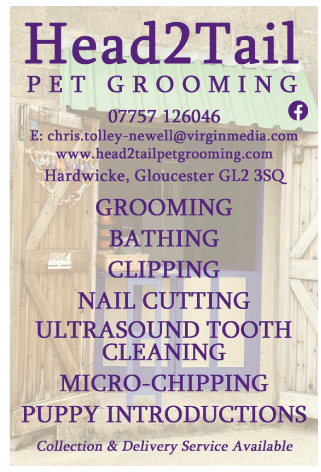 Head2Tail Pet Grooming serving Quedgeley - Dog Grooming