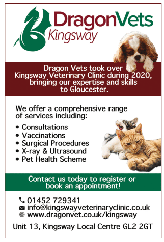 Kingsway Veterinary Clinic serving Quedgeley - Veterinary Surgeries