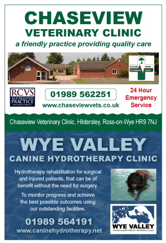 Wye Valley serving Ross on Wye - Pet Services