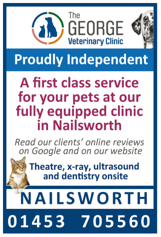 The George Veterinary Group serving Stroud - Veterinary Surgeries