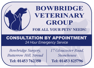 Bowbridge Veterinary Group serving Stroud - Veterinary Surgeries