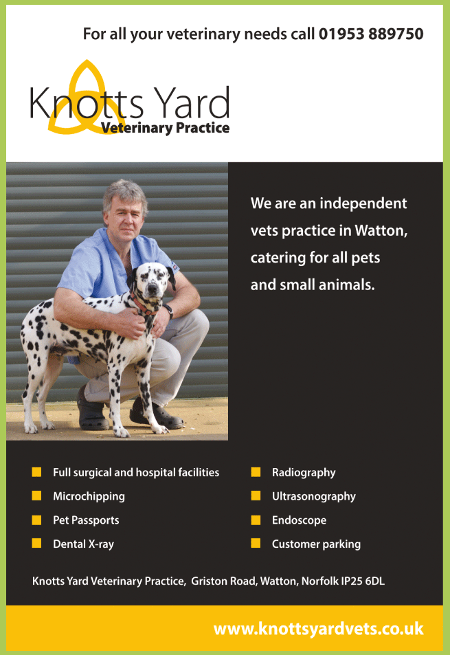 Knotts Yard Veterinary Practice serving Swaffham - Veterinary Surgeons