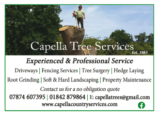 Capella Country Services serving Swaffham - Tree Surgeons
