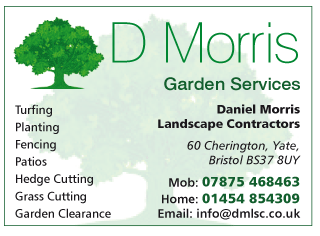 D. Morris Landscape Contractor serving Thornbury and Alveston - Landscape Gardeners