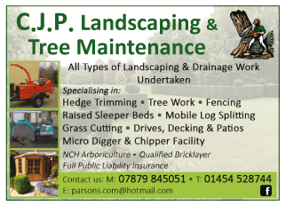C.J.P. Landscaping & Tree Maintenance serving Thornbury and Alveston - Tree Surgeons