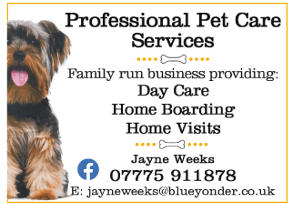 Professional Pet Care Services serving Winterbourne - Pet Care