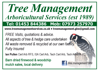 Tree Management serving Yate and Chipping Sodbury - Firewood