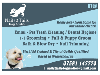 Nails2Tails Dog Studio serving Yate and Chipping Sodbury - Pet Services