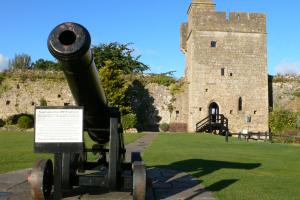 Calidicot Castle Cannon