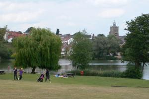 The Mere, Diss